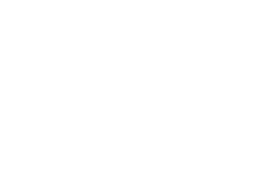 New Jet Aero Systems Corp